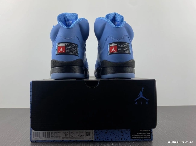 5 UNC DV1310-401 Air Jordan 0807
